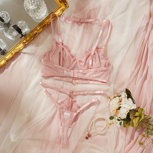 Pink lace lingerie set with mesh embroidery, underwire bra, thong and choker accessory