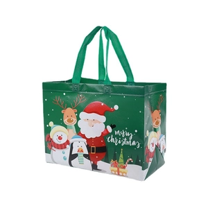 Christmas non-woven gift bag with Santa and reindeer motifs in green holiday style