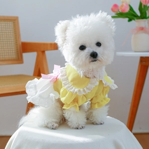 Detail of yellow pet dress featuring a lace collar and pink plaid bow on a small dog