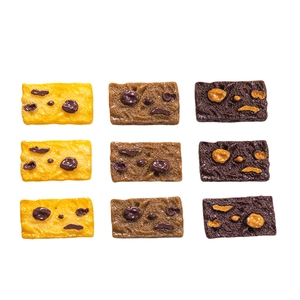 Miniatures réalistes de biscuits aux canneberges en résine pour bricolage créatif