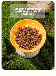 Ceramic tilted pet bowl with smooth curved wall preventing food from splashing out