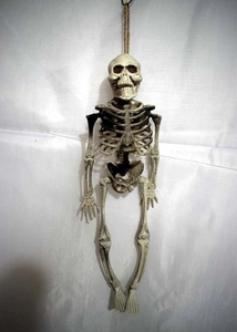 Close-up of a realistic plastic skeleton prop with hemp rope for Halloween decor
