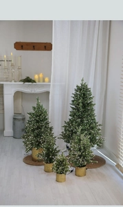 Mini lighted Christmas trees with warm LED lights and gold pots in a cozy room setting