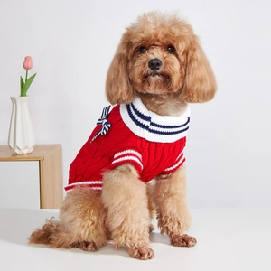 Red knit dog sweater with striped bow and collar on professional pet model