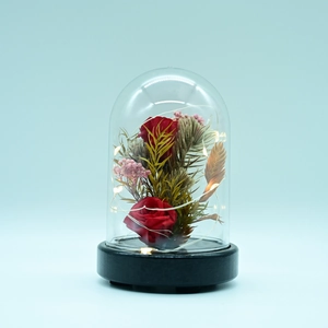 Preserved red rose in a glass dome with LED fairy lights and a black wooden base