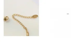 Close-up of golden stainless steel chain with lobster clasp and K18 oval metal tag
