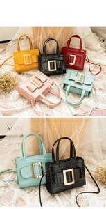 Close-up of crocodile texture mini bag with iconic square buckle in multiple colors