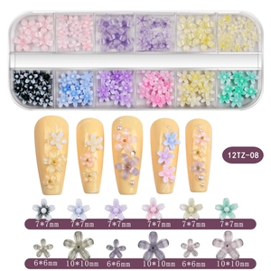 Detailed boxed set of colorful 3D resin flower nail art charms with size labels