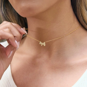 Collier chien en acier inoxydable plaqué or 18 carats avec cristaux sur un mannequin