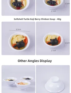 Detailansicht eines simulierten Hühnersuppenmodells mit Schildkröte und Goji-Beeren