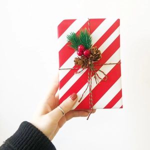 Mini Christmas tree decoration featuring pine needles and red berries in a striped gift box
