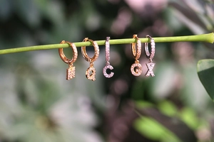 Detail of gold and silver plated letter earrings with zircon stones on green stem