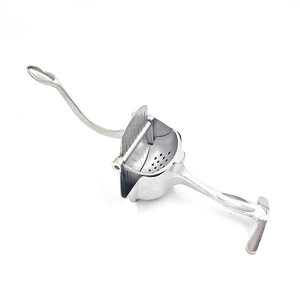 Manual silver metal citrus juicer for lemons and oranges on a clean white background