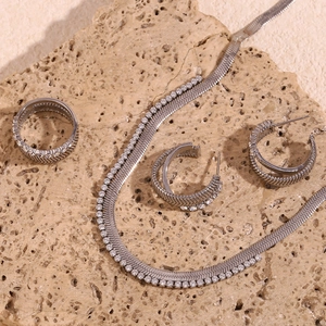 Detail of silver stainless steel jewelry set with snake chain and zircon inlays on stone