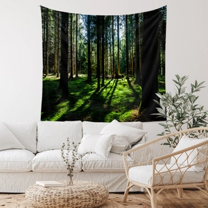 Detail of forest landscape tapestry with morning sunlight hanging above a white sofa