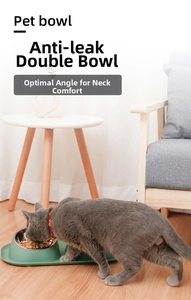 Detailed scene of a cat eating from a dual stainless steel pet bowl with green base