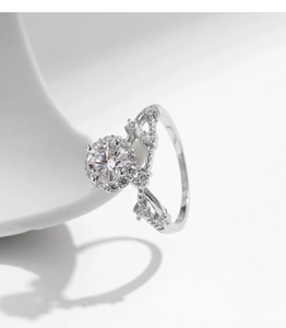 Detailopname van s925 zilveren kroonring met fonkelende moissanite en pavé-zetting
