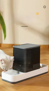 Close-up of white cat using the automatic 2-in-1 pet food and water gravity feeder