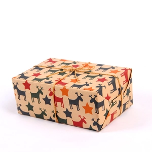 Scatola regalo in carta kraft con motivi natalizi di renne e stelle e corda di juta naturale