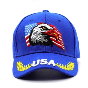 Close-up of eagle embroidery and USA text on a royal blue cotton baseball cap