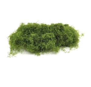 Dettaglio macro di muschio verde con trama fibrosa realistica per decorazioni DIY