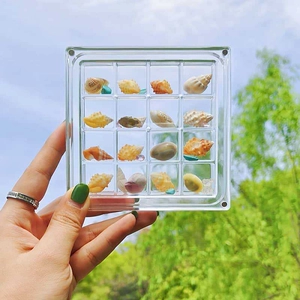 Handheld 16-grid acrylic display box for seashell specimens with clear magnetic closure