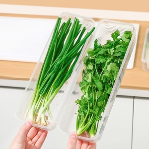 Set of 2 clear plastic long airtight food storage boxes for scallions and herbs