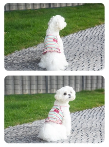 Detail of dog summer dress featuring colorful stripes, cherry patterns, and red wavy ruffles