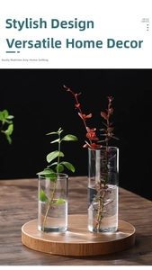 Detail of minimalist cylindrical glass hydroponic vases on a wooden base with high contrast