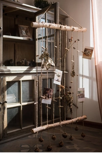 Detail of natural birch wood photo wall with rustic clips and dried flower accents