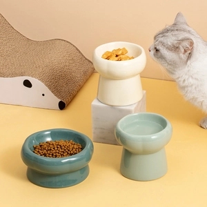 Elevated ceramic cat bowl with neck protection stand in elegant cream and teal colors