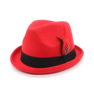 Elegant red wool felt fedora hat featuring a black ribbon and decorative feathers on white back