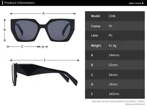 Detailed size chart for modern PC frame sunglasses model 2246 with precise dimensions