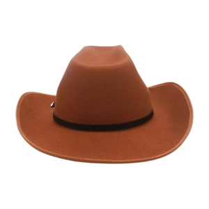 Close-up of brown fedora felt hat featuring a black belt band and silver buckle detail