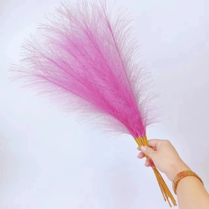 Close-up of a hand holding 55cm pink pampas grass with fluffy feathers for boho home decor