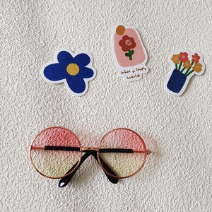 Macro view of round pink-yellow gradient lenses and slim metal frame pet sunglasses