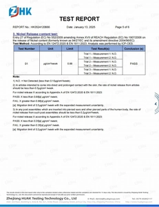Official lab test report showing nickel-free safety compliance pass for stainless steel earrings