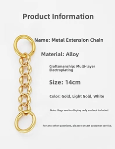 Detail of 14cm alloy metal extension chains in gold and silver for shoulder bags