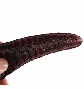 Détail macro de corne de diable rouge et noire montrant la texture de peau réaliste