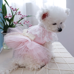 Detail of pink pet lace dress featuring delicate bow knitting and layered mesh skirt