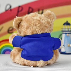 Detailed back view of a soft beige teddy bear plush toy wearing a royal blue cotton t-shirt.