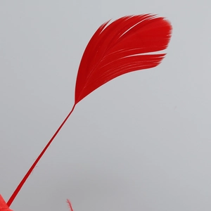 Detail shot of a natural bright red feather trim for sexy bodycon party dresses