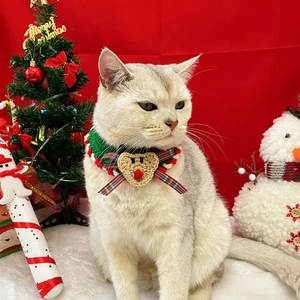 Détail d'un collier de Noël tricoté main pour animaux avec renne et noeud festif