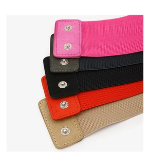 Detailed set of five elastic waist belts in diverse colors with leather snap buttons