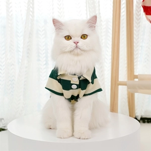 White cat wearing green and white striped polo shirt on a white platform