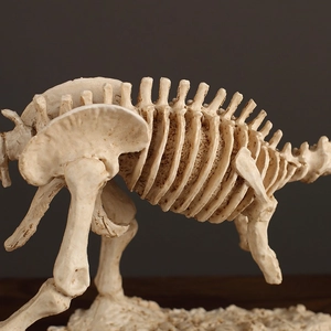 Modèle de squelette de fossile de Tyrannosaure Rex réaliste sur un socle en bois