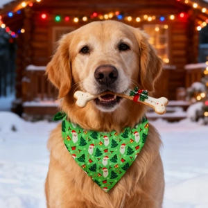 Golden Retriever wearing a festive green Christmas pet bandana with Santa and trees