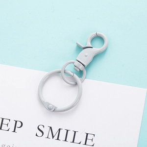 Detailed view of Morandi gray metal lobster clasp and keychain ring accessory
