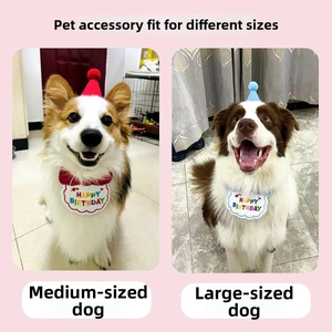 Wearing effects of birthday bandanas and hats for medium and large dogs in detail
