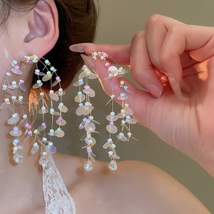 Close-up of long beaded tassel earrings with iridescent sequins and crystal drops